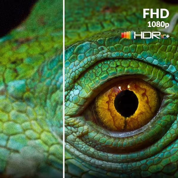 FHD