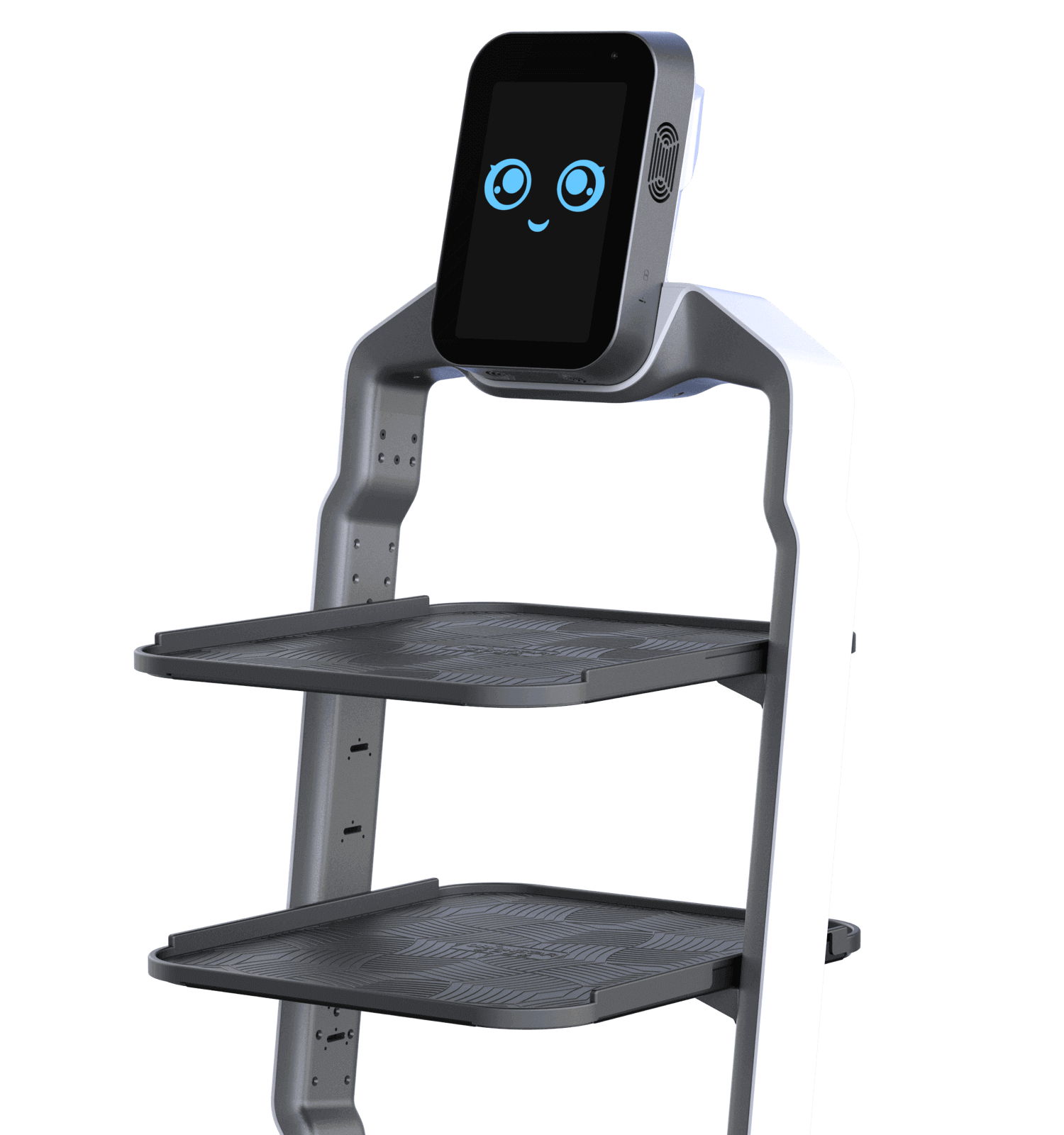LuckiBot Pro | AI Delivery Robot